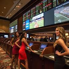 rr55 comparison of sports guides privacy notes and responsible gaming areas
